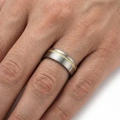 ZJTGR5-005-6-Trauringe-aus-Titan-und-diamantiertem-Gold-5mm.webp