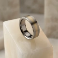 AH-Primo-2-Trouwring-van-titanium-en-geelgoud.webp