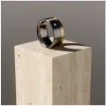 AH-Sabina-z-brylantem-2-titanring-matt-diamant-gelbgold-10mm.webp
