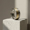 AH-Zebra-złota-z-diamentami-4-titan-ehering-gold-brillanten-matt.webp