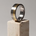 AH-Zebra-waska-4-matter-titanring-goldstreifen-14-karat-flach.webp